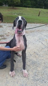 10671214_10204376930570572_2844949039435542333_n