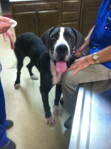 12287_10204381967416490_5734067510187995414_n