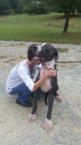 983771_10204376932370617_3637451818564391622_n