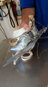 11986982_10207179335548945_8329245984018140796_n